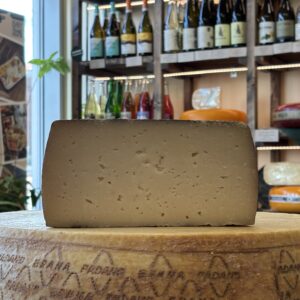 Aged Manchego PDO