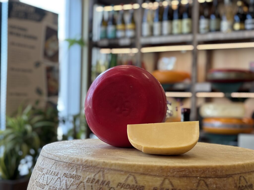 Edam Cheese Red