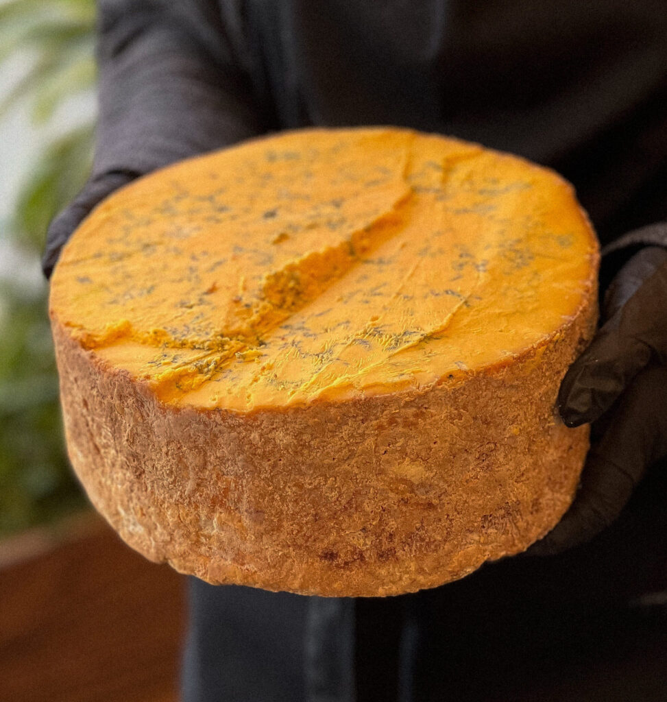 Shropshire Blue