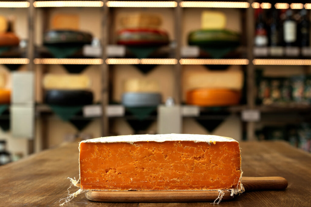 Aged leicestershire red