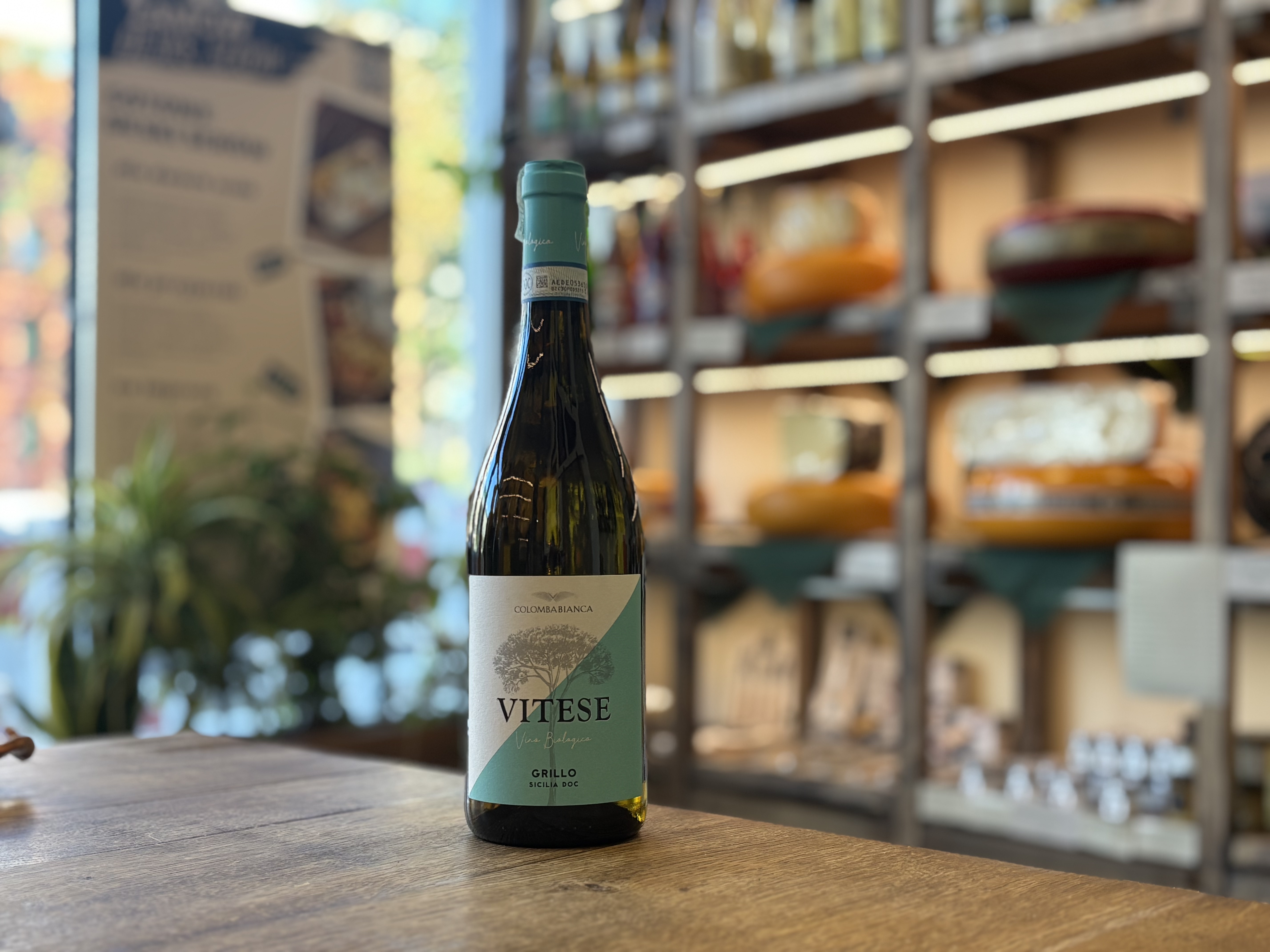 Vitese Grillo